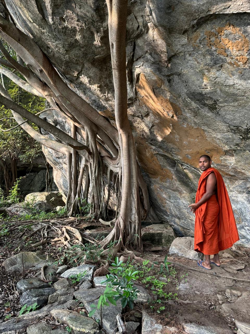 Danigala Gallery Image